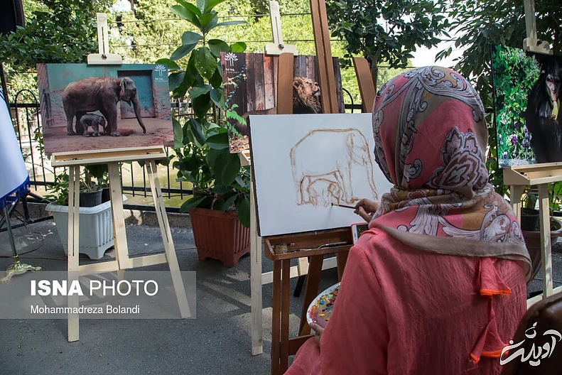 (تصاویر) رونمایی از «مایسا» در باغ وحش ارم